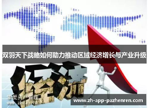 双羽天下战略如何助力推动区域经济增长与产业升级 双羽天下战略如何助力推动区域经济增长与产业升级