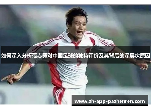 如何深入分析范志毅对中国足球的独特评价及其背后的深层次原因 如何深入分析范志毅对中国足球的独特评价及其背后的深层次原因