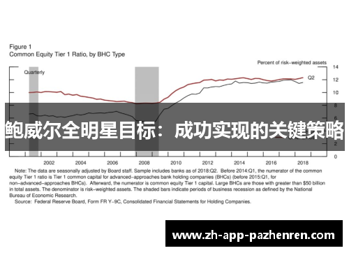 鲍威尔全明星目标：成功实现的关键策略