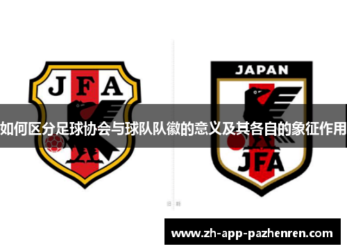 如何区分足球协会与球队队徽的意义及其各自的象征作用 如何区分足球协会与球队队徽的意义及其各自的象征作用