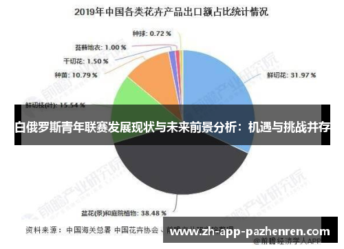 白俄罗斯青年联赛发展现状与未来前景分析：机遇与挑战并存